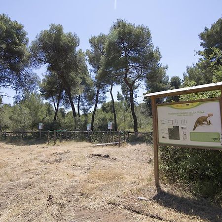Villaggio Catalano Кастеланета Марина Екстериор снимка