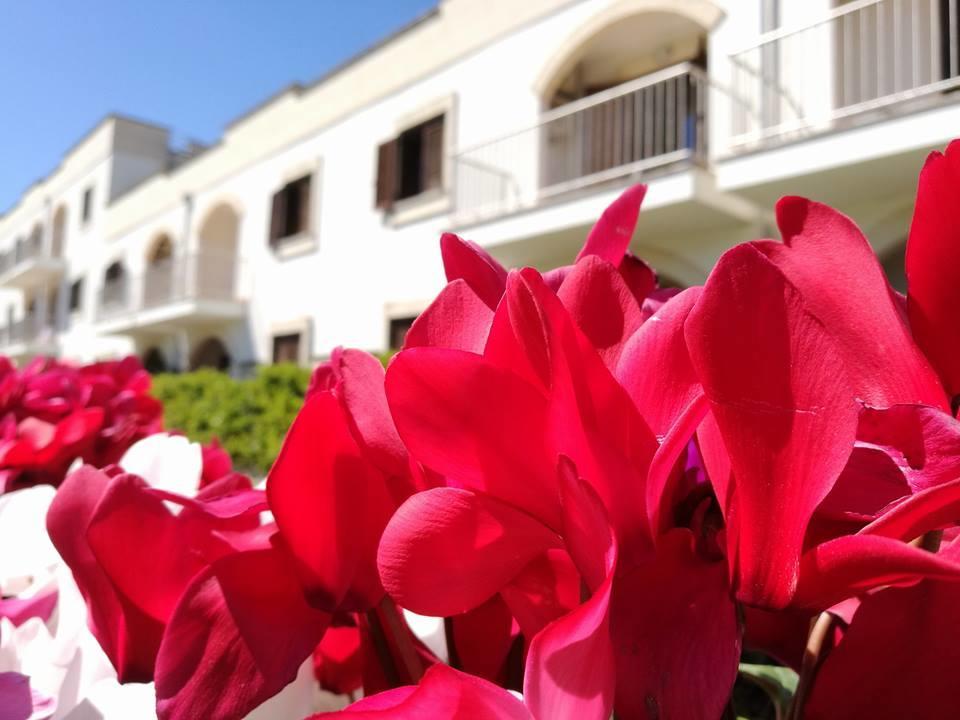 Villaggio Catalano Кастеланета Марина Екстериор снимка
